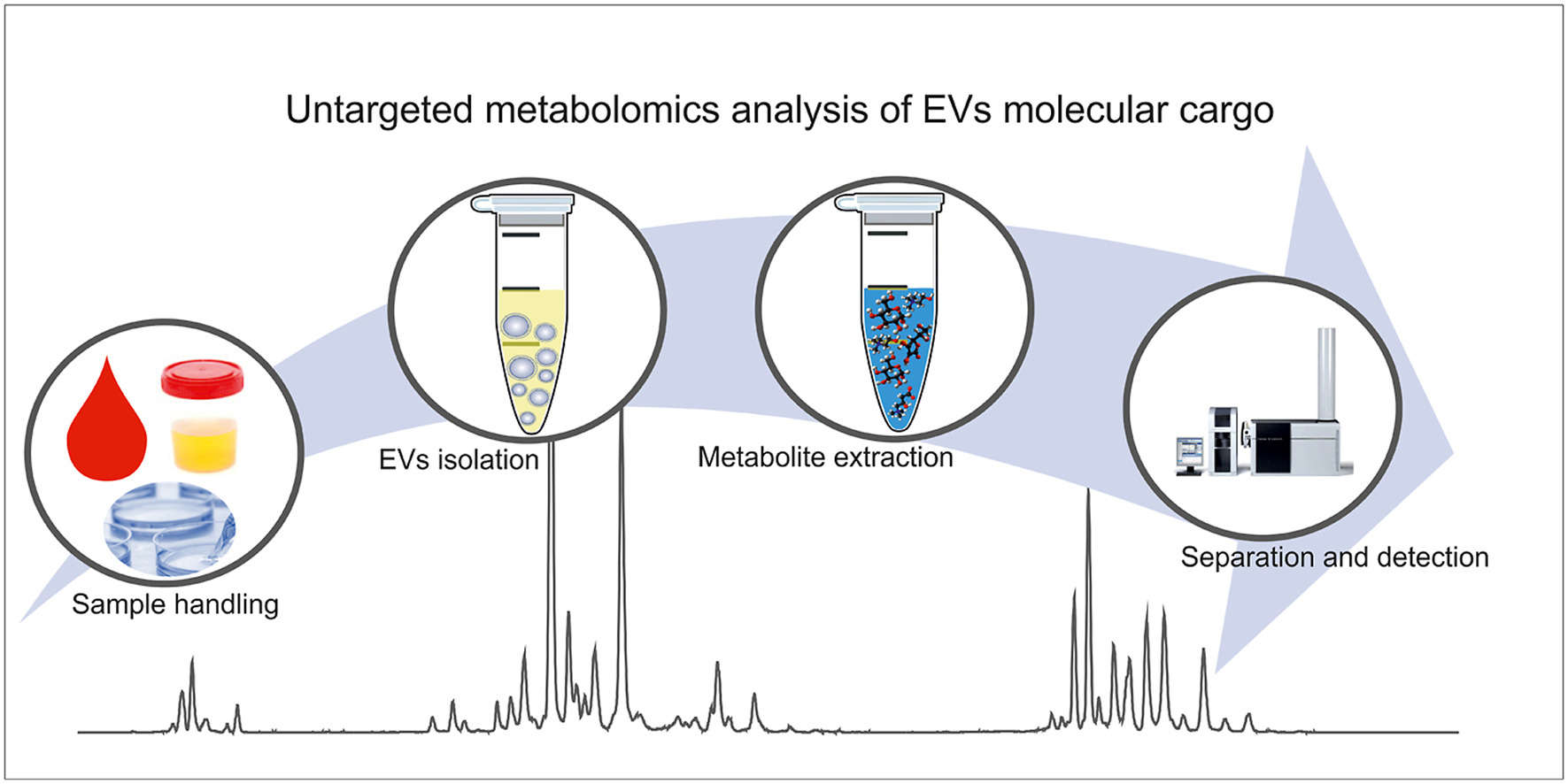Untargeted Exosome Metabolomics Service