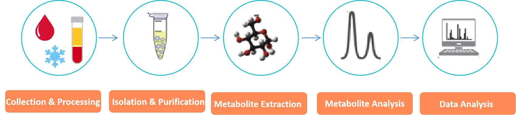 Comprehensive untargeted profiling of exosome metabolomics.