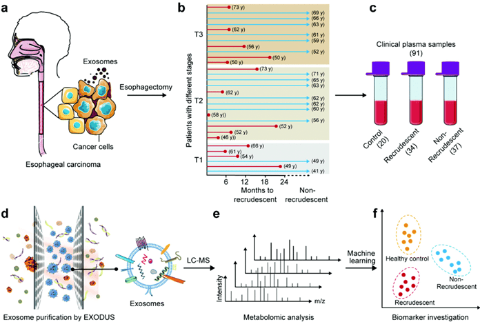 Diagrammatic workflow for ESSC investigation using exosome metabolomics.
