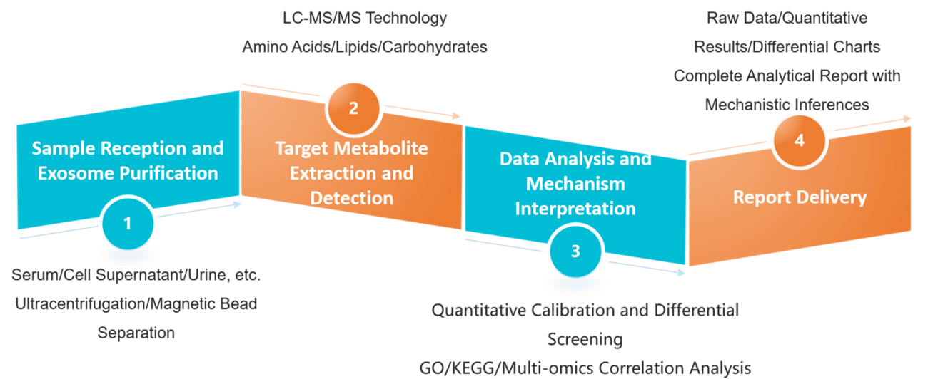 Service procedure for exosome-targeted metabolomics.