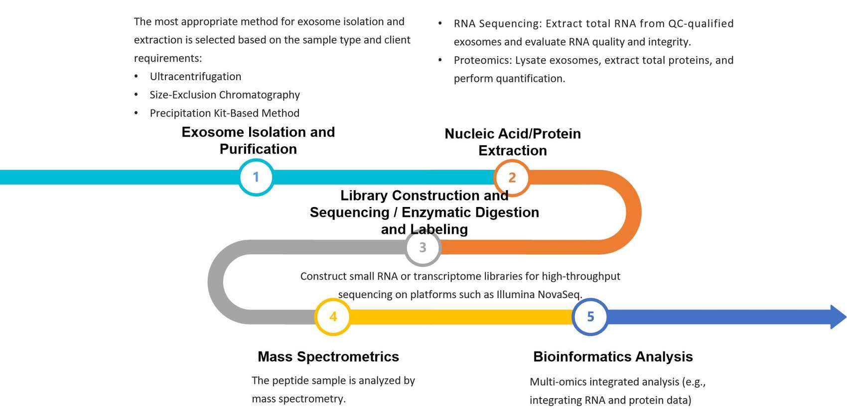Workflow for exosomal proteomics and RNA sequencing.