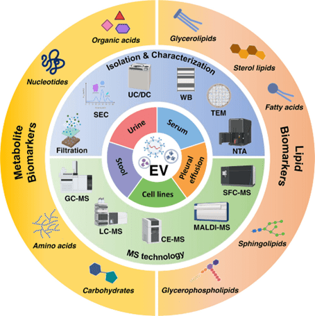 Exosome Lipidomics and Metabolomics Profiling Service