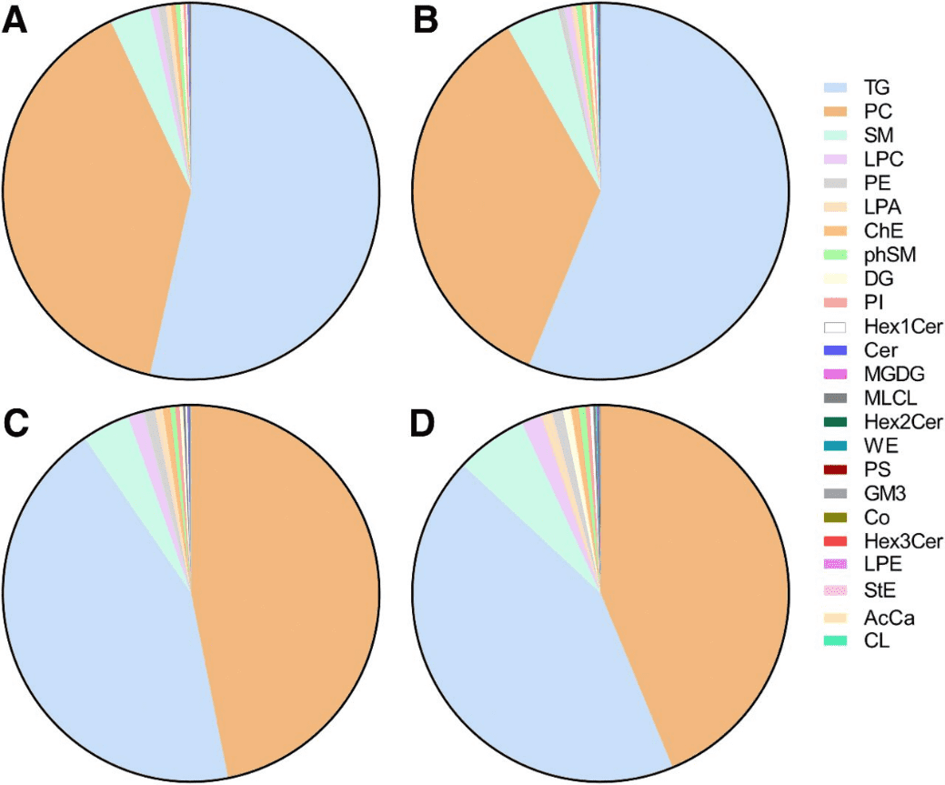 Compositional distribution of lipid species in plasma and exosomal fractions across HCC-stratified cohorts.