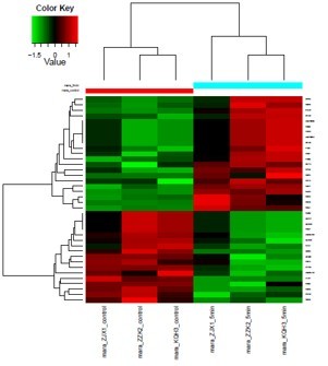 Differential Protein Clustering in Exosome Proteomics Analysis.