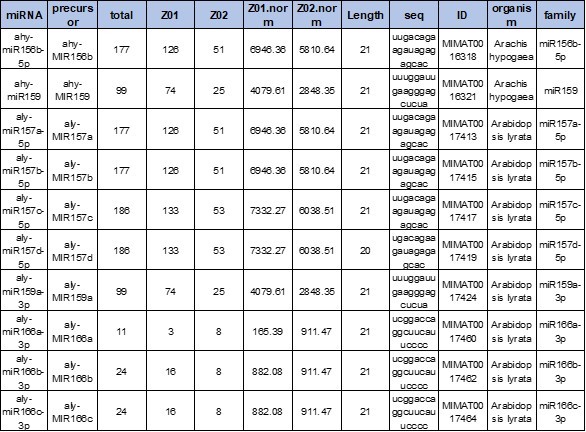 Quantification of miRNA expression showing normalized miRNA levels and differential abundance across samples.