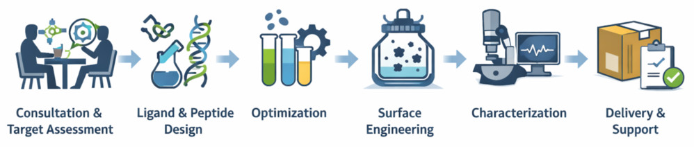 Workflow of exosome ligand and peptide functionalization including design, optimization, engineering, validation, and delivery.