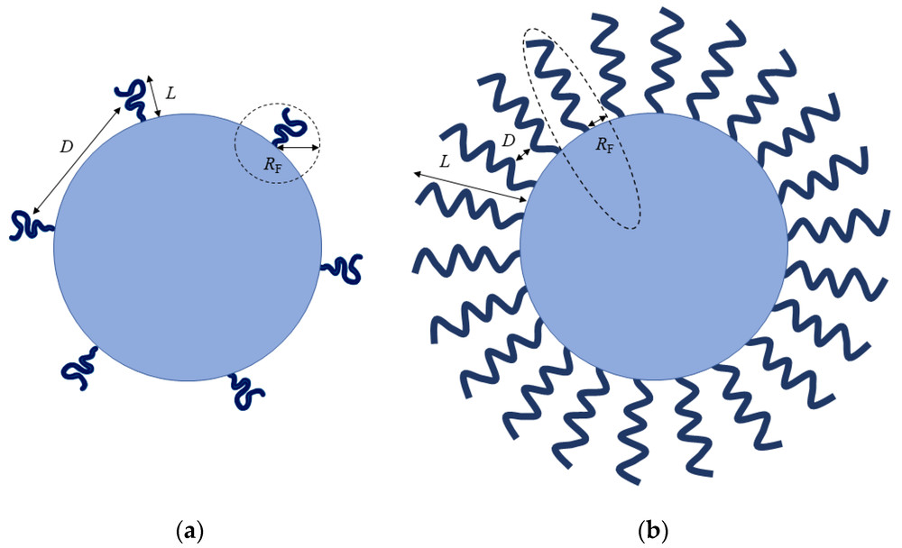 Exosome PEGylation and Stealth Coating
