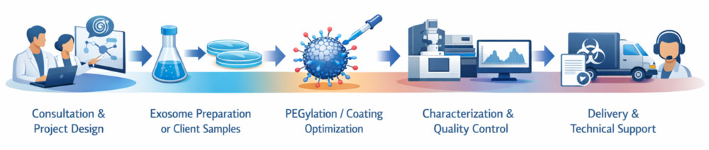 Step-by-step workflow of exosome PEGylation and stealth coating including design, preparation, modification, QC, and delivery.