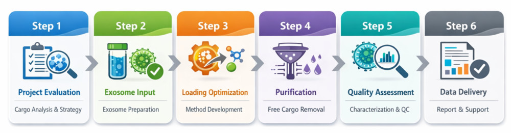 Six-step workflow of exosome small molecule loading, from project evaluation and exosome input to QC and data delivery.
