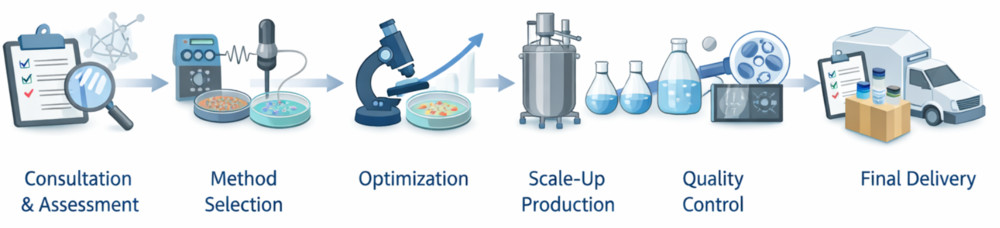 Workflow illustrating consultation, method selection, optimization, scale-up, quality control, and final delivery for exosome cargo loading.