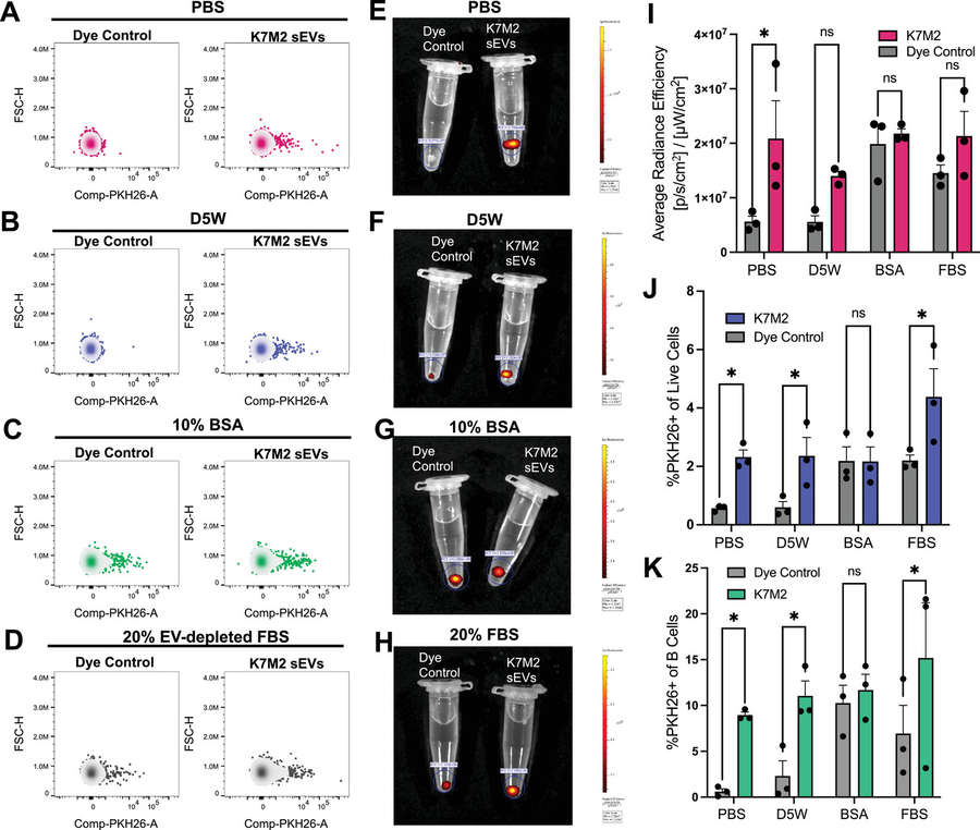 In Vivo Detection of PKH26-Labeled sEVs in Lymph Nodes.