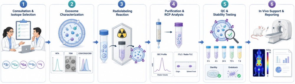 Six-step exosome radiolabeling workflow for SPECT/PET imaging from isotope selection to in vivo quantitative analysis.