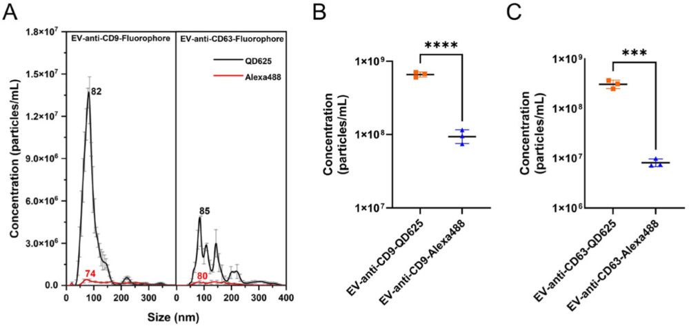 Fl-NTA comparison showing higher detection of A549 EVs labeled with QD625 than with Alexa 488.