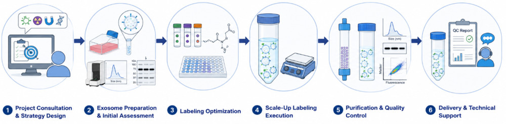 Exosome labeling workflow from consultation and preparation to optimization, scale-up labeling, QC, and delivery support.