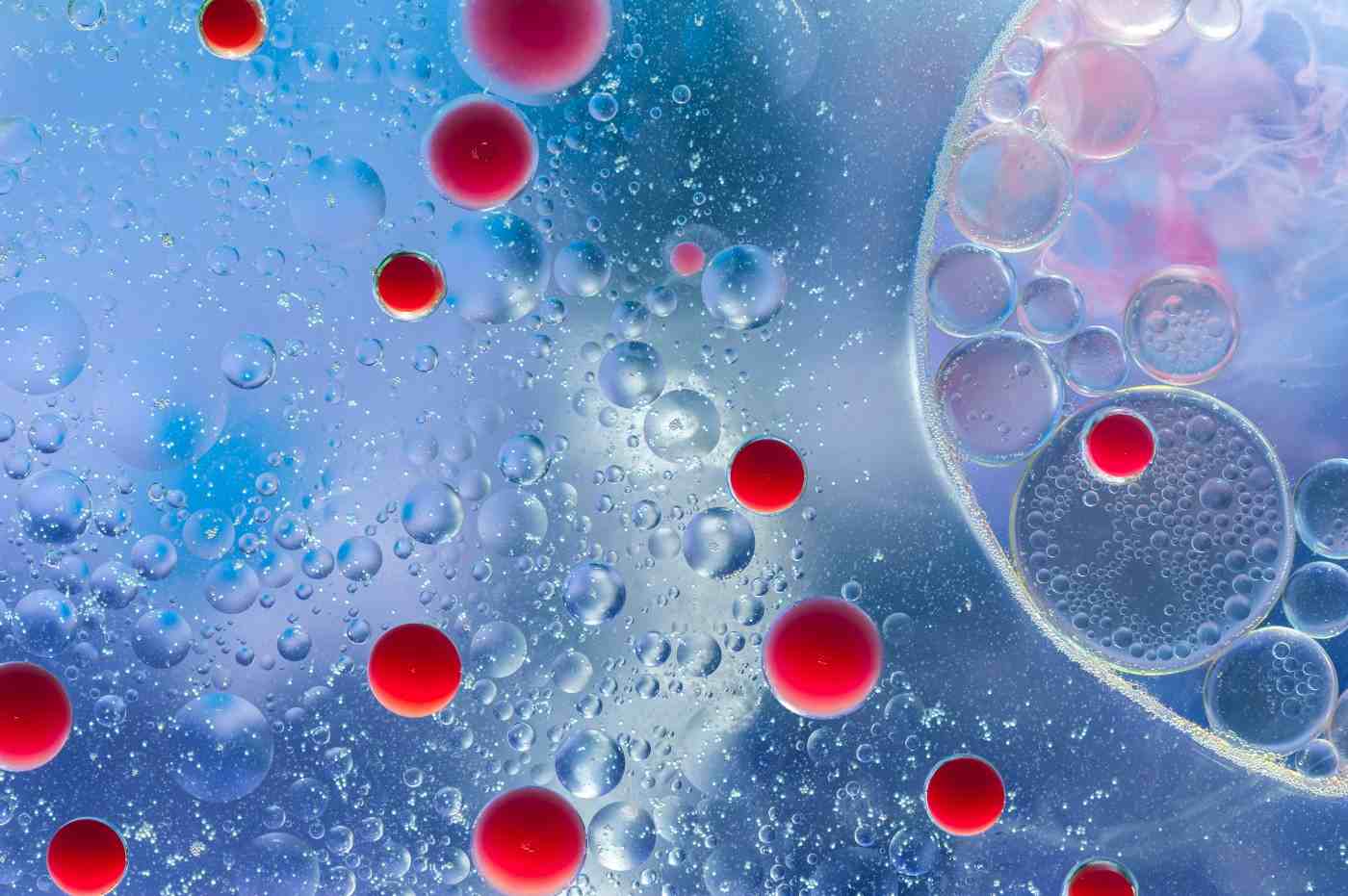 Exosome Functional Assays for Validating Biological Activity and Therapeutic Potential