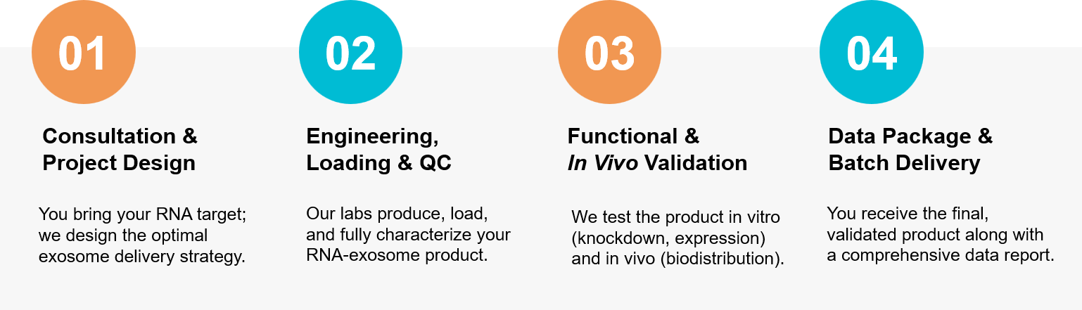 Workflow of exosome RNA delivery service.