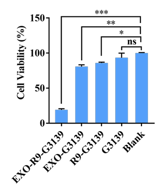 HepG2 cell viability after treatments.