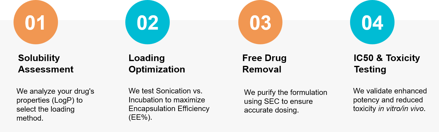 Exosome small molecule loading workflow.