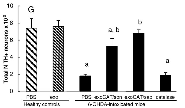 DA neuron survival graph in SNpc post-treatment with exosomal formulations.