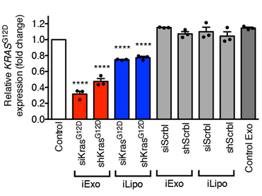 Image showing KRAS G12D transcript levels.