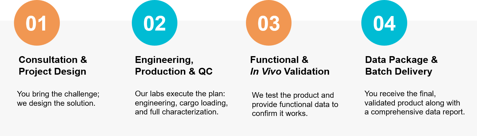 Workflow of exosome drug delivery solution.