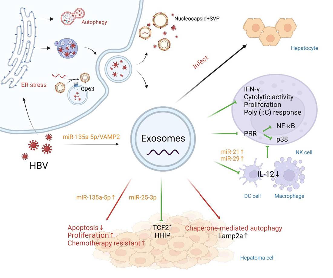 Viral and Bacterial Infection Exosome Research Services