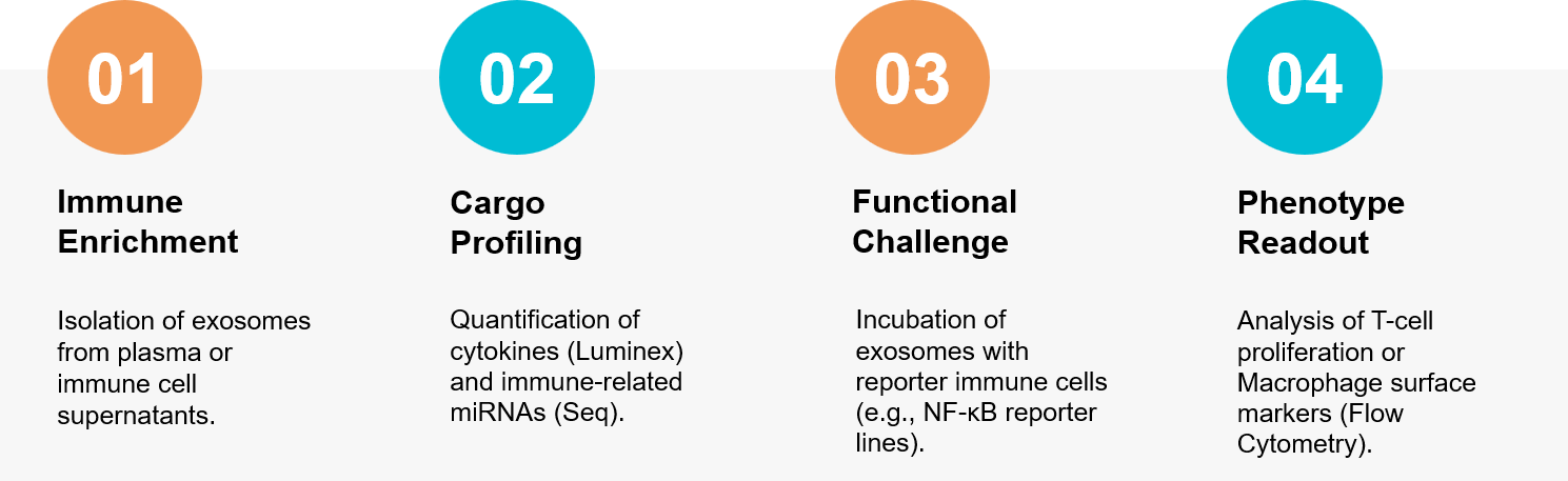 Flowchart of immune exosome profiling including cytokine analysis and cell co-culture.