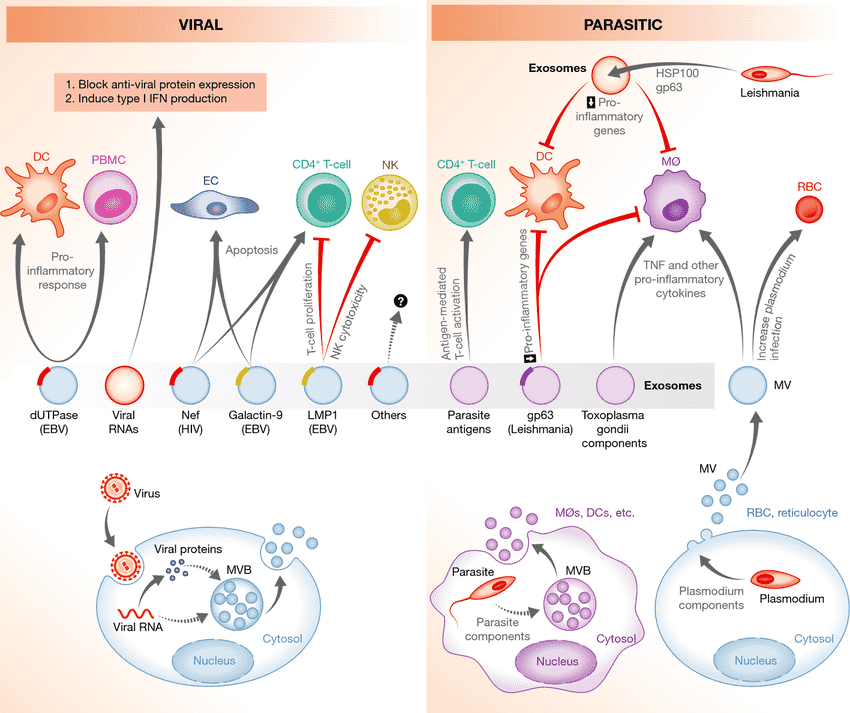 Infectious Disease Exosome Solutions