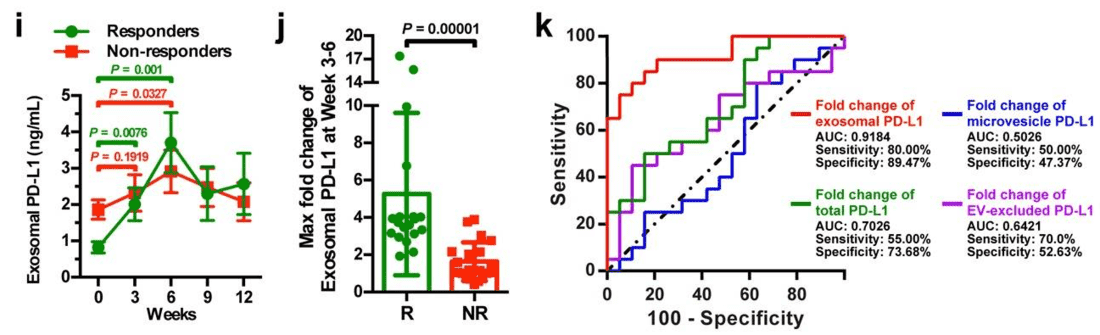 Graphs depicting exosomal PD-L1 levels in clinical responders and non-responders to pembrolizumab.