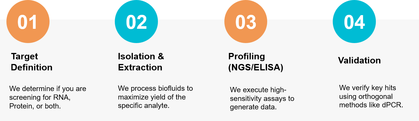 Exosomal miRNA and protein liquid biopsy workflow.