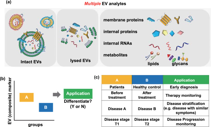 Custom Exosome Panels for Disease Biomarkers