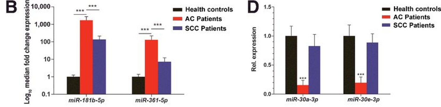 Validation of the miRNA-seq data by quantitative PCR analysis.
