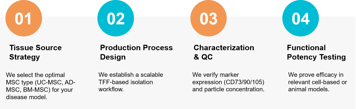 MSC exosome therapy development workflow.