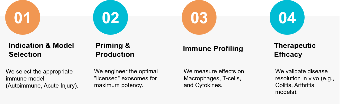 Exosome immunomodulation workflow.