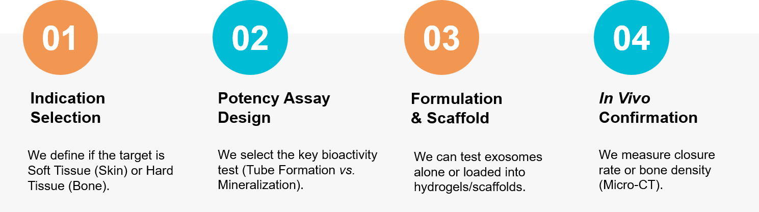 Exosome regeneration research workflow.
