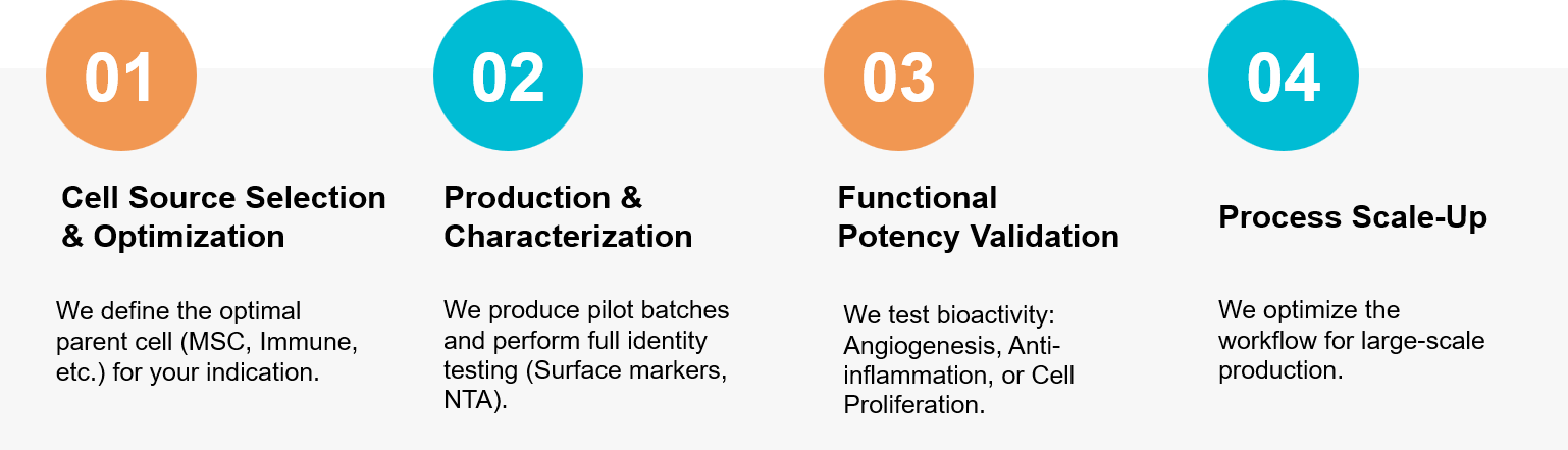 Exosome therapeutic development workflow.