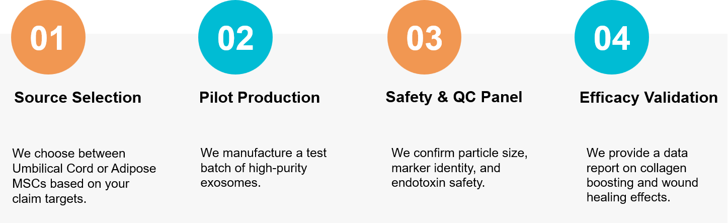 Cosmetic stem cell exosome development workflow.