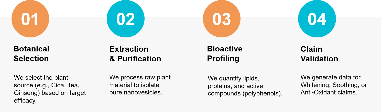 Plant exosome skincare development workflow.