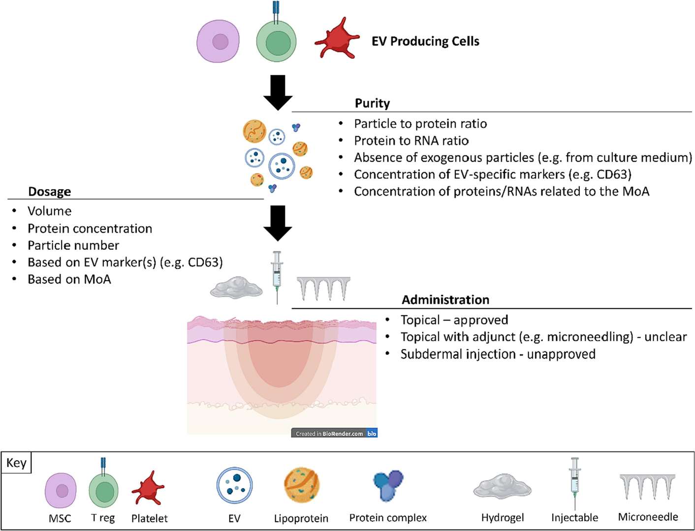 Cosmetic Exosome Formulation Development