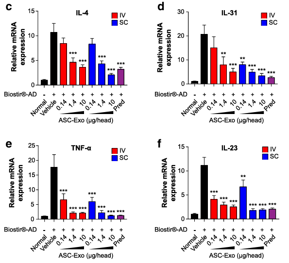 Bar graph of MSC exosomes enhancing angiogenesis.