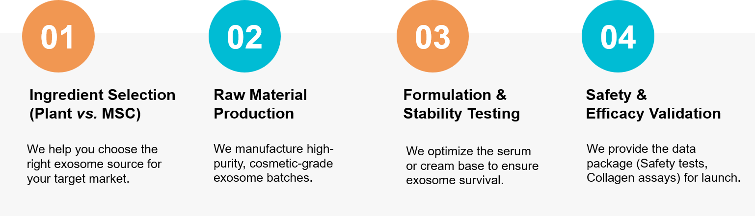 Exosome skincare product development process.