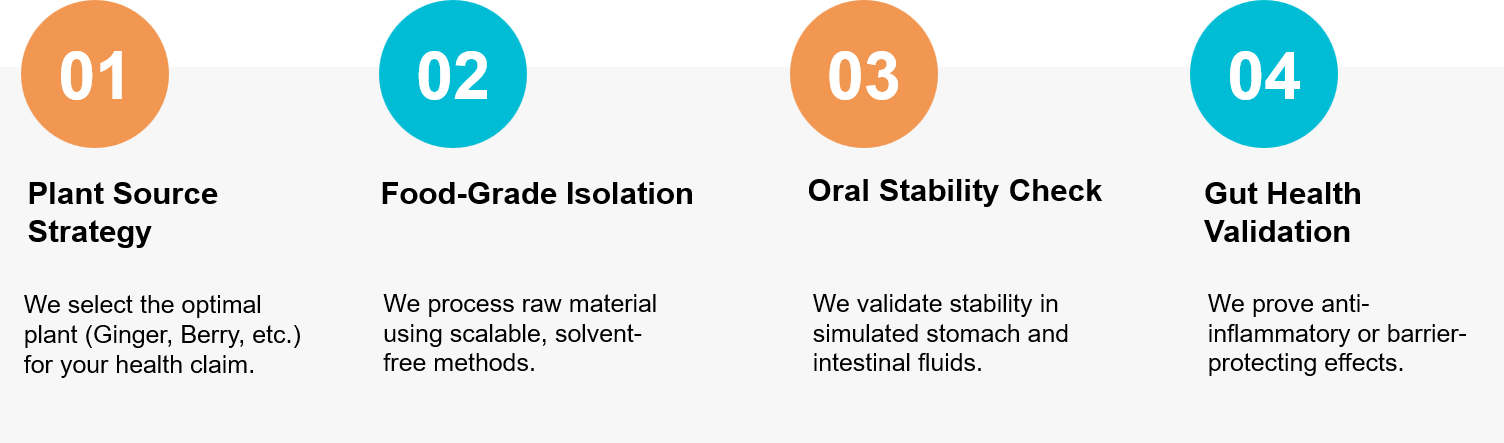 Edible plant exosome development workflow.