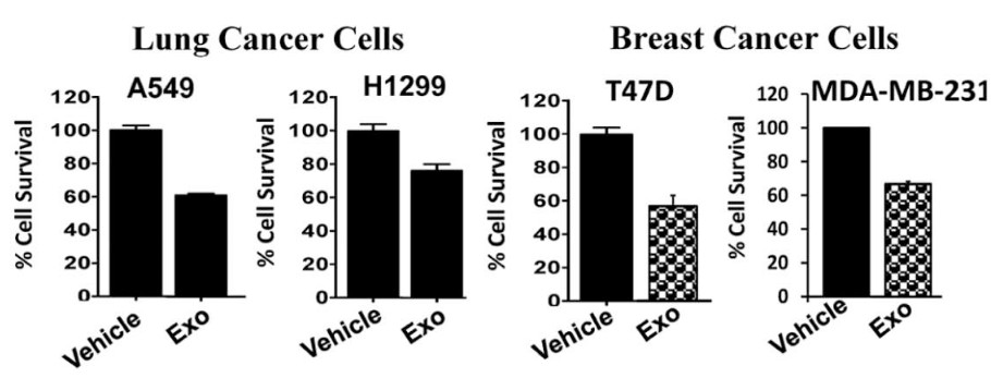 Anti-proliferative effect of milk exosomes on cancer cells.