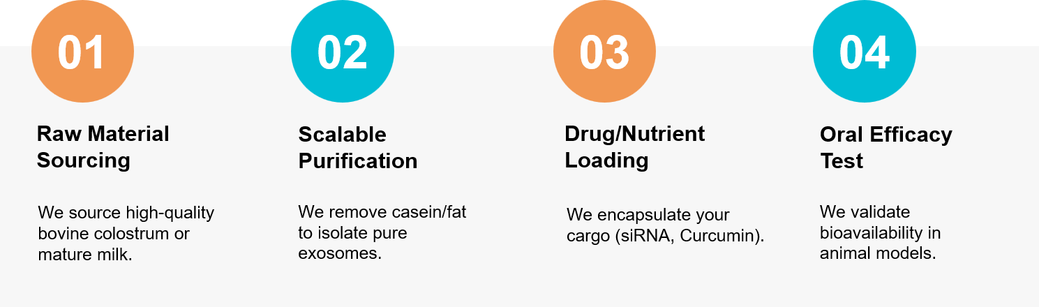 Milk exosome development workflow.