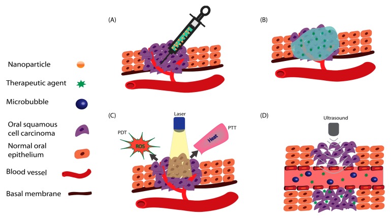 Exosome Gut Absorption and Delivery Studies