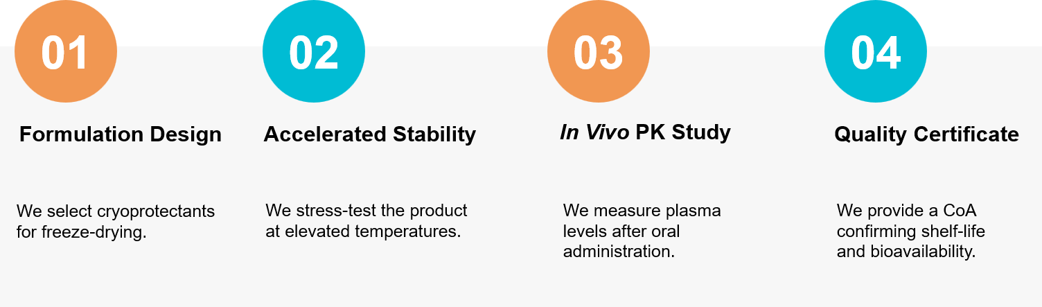 Exosome stability and PK assessment workflow.