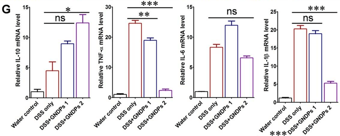Graph of GDNPs 2 effects on colitis susceptibility.