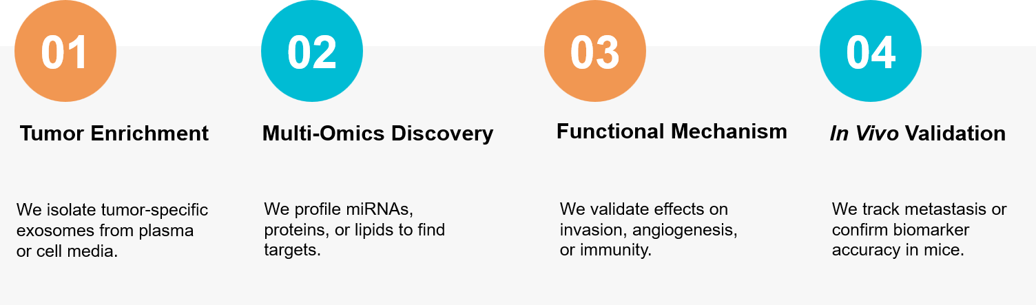Oncology exosome profiling workflow.