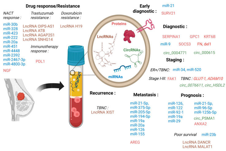 Breast Cancer Exosome Research Services