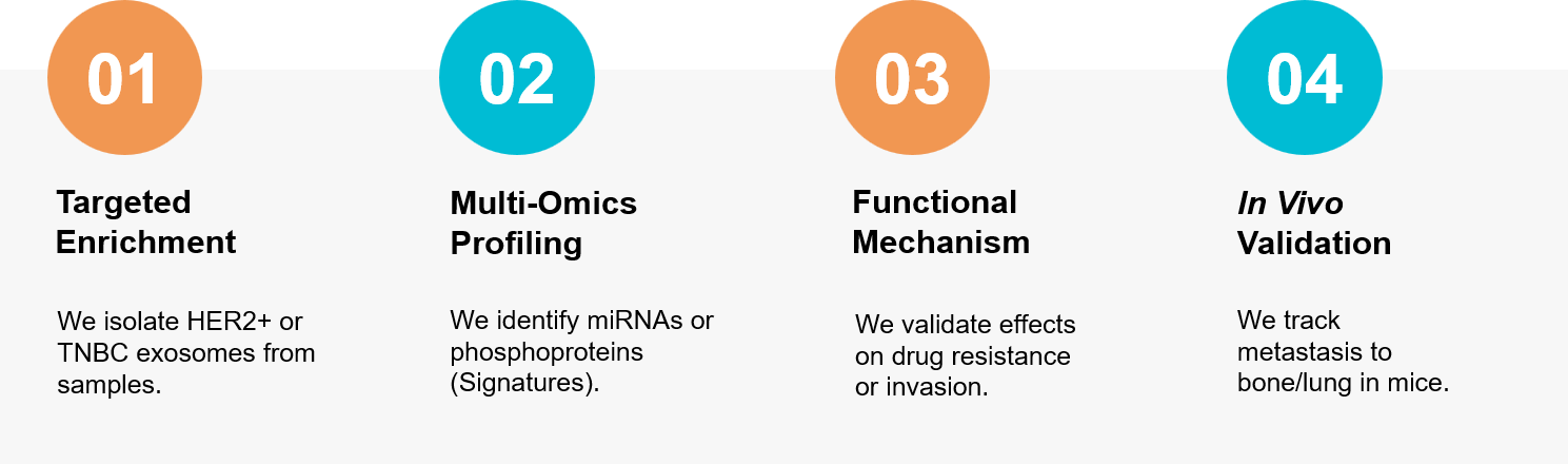 Breast cancer exosome research workflow.